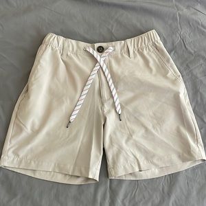 Chubbies Shorts